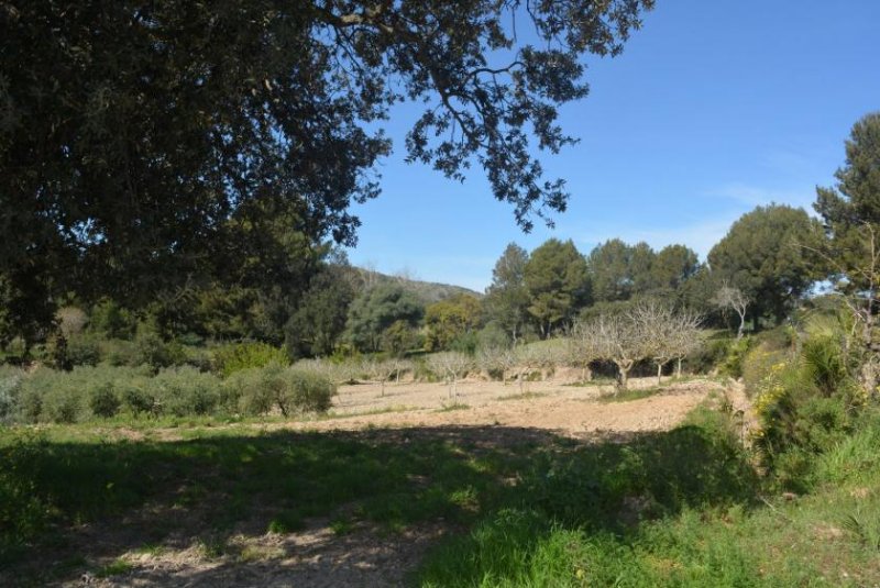 Son Servera Privilegiert leben direkt am Golfplatz mit Meerblick Haus kaufen