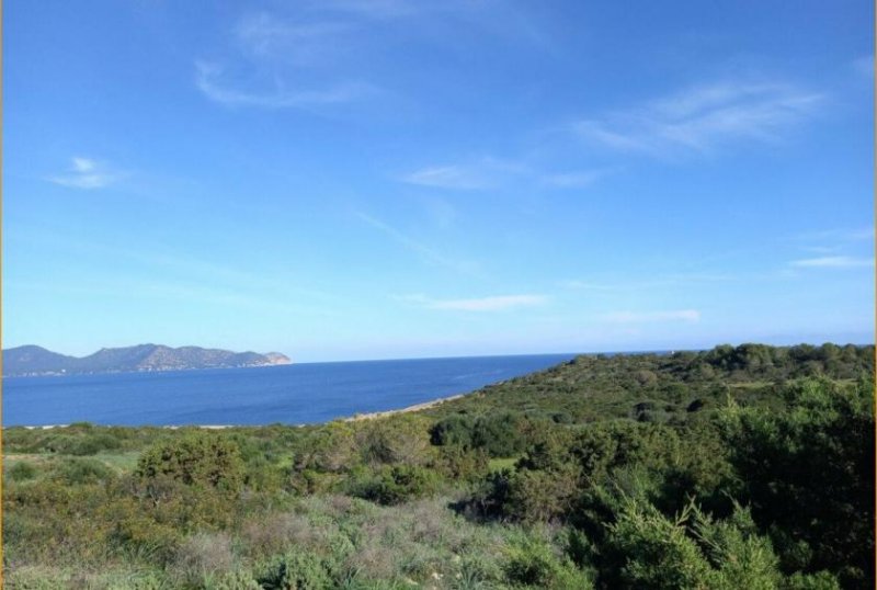 Sa Coma Verwirklichen Sie JETZT Ihren Lebenstraum Grundstück kaufen