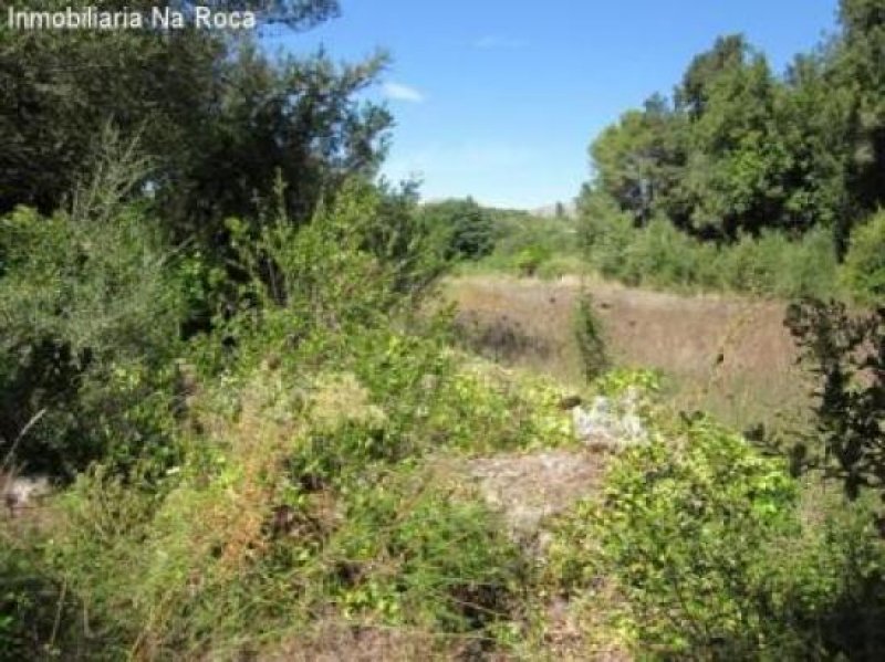 Arta Fincagrundstück für Individualisten Grundstück kaufen