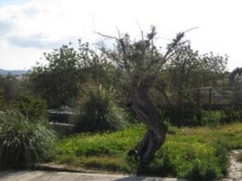 Arta Romantisch-Mallorquinische Finca in ruhiger Lage mit Landschaftsblick. Haus kaufen