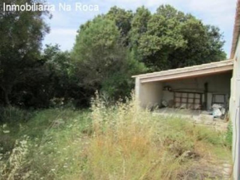 Arta Wild-romantische Finca in Ortsnähe aber in schöner, ruhiger Lage. Haus kaufen