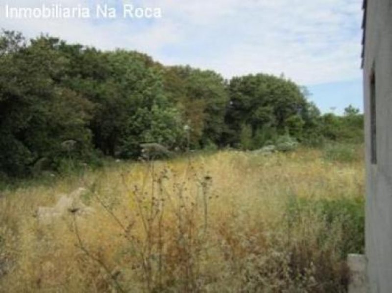 Arta Wild-romantische Finca in Ortsnähe aber in schöner, ruhiger Lage. Haus kaufen