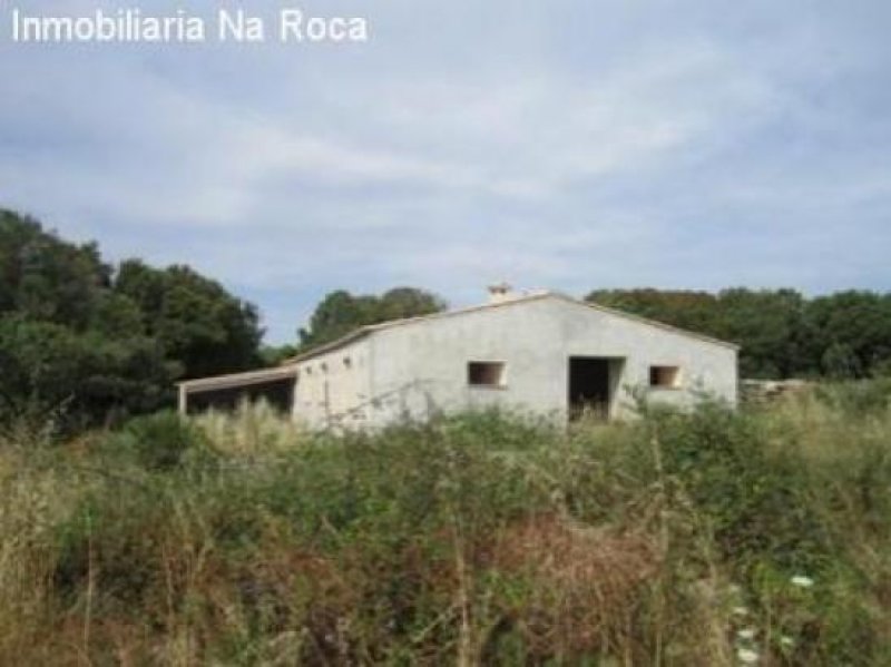 Arta Wild-romantische Finca in Ortsnähe aber in schöner, ruhiger Lage. Haus kaufen