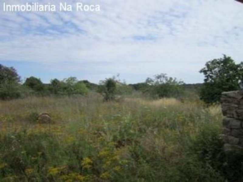 Arta Wild-romantische Finca in Ortsnähe aber in schöner, ruhiger Lage. Haus kaufen