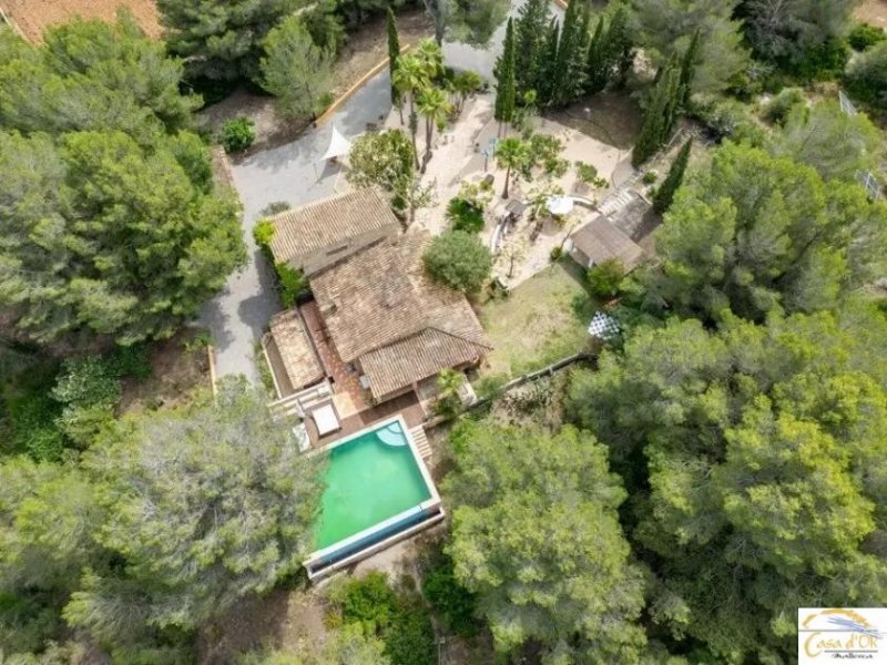 Harth-Pöllnitz Exklusive Finca bei Artà mit Gäste-Appartements, ETV-Lizenz & Infinity Pool Haus kaufen