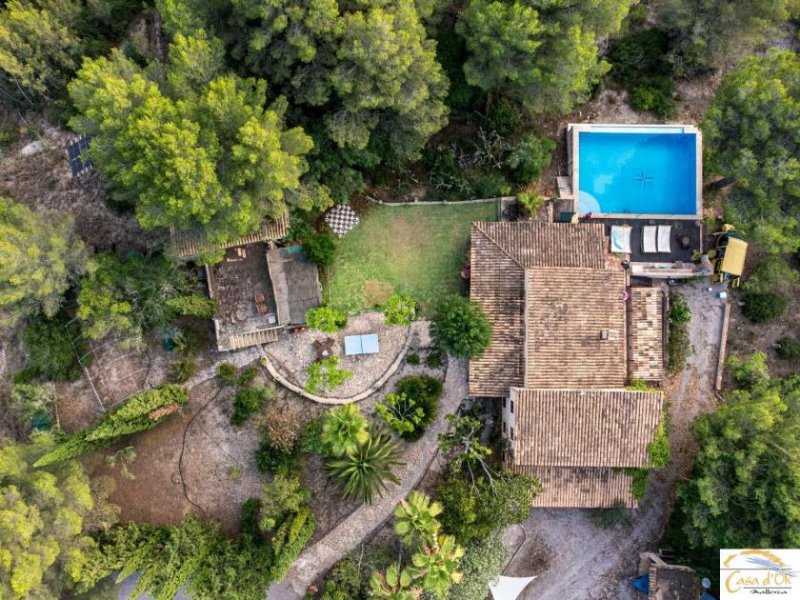 Harth-Pöllnitz Exklusive Natursteinfinca mit Gästehaus, Infinity Pool und ETV-Lizenz nahe Artà Haus kaufen