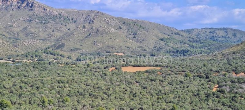 Artá Traum - Finca ! Ihr Land auf Mallorca Haus kaufen