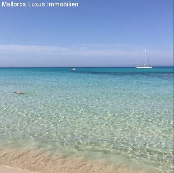 Großenstein 225 Hektar Einzigartiges Finca Grundstück in Capdepera zu verkaufen Idealfür einen Agroturismo, Luxuhotel,Pferde Ranch mit