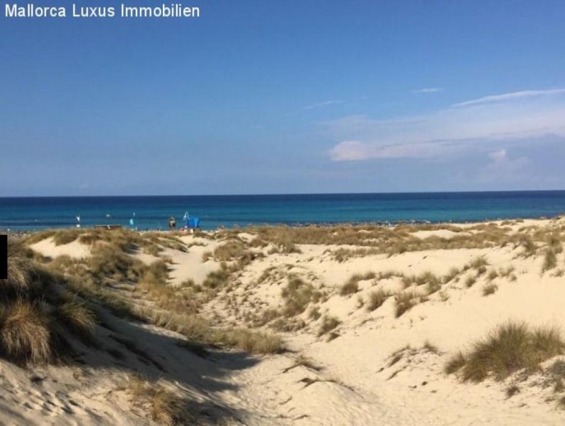 Großenstein 225 Hektar Einzigartiges Finca Grundstück in Capdepera zu verkaufen Idealfür einen Agroturismo, Luxuhotel,Pferde Ranch mit