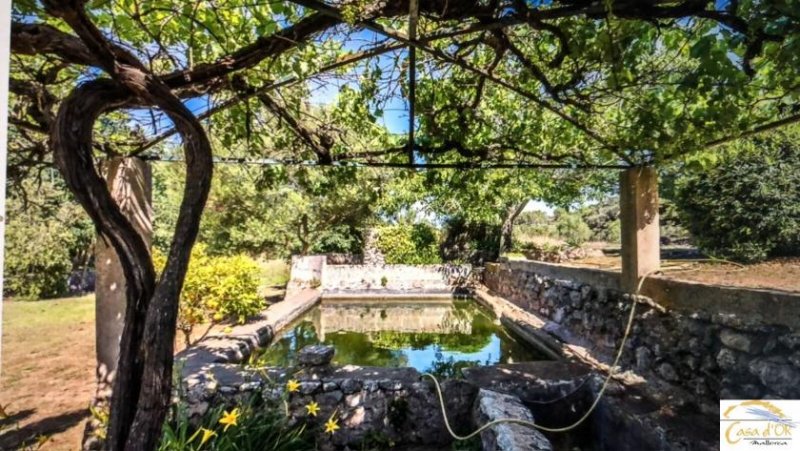 Großenstein Authentische Finca mit mediterranem Charme und altem Baumbestand bei Capdepera Haus kaufen