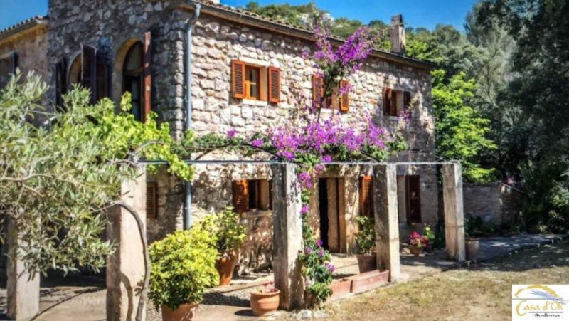 Großenstein Authentische Finca mit mediterranem Charme und altem Baumbestand bei Capdepera Haus kaufen