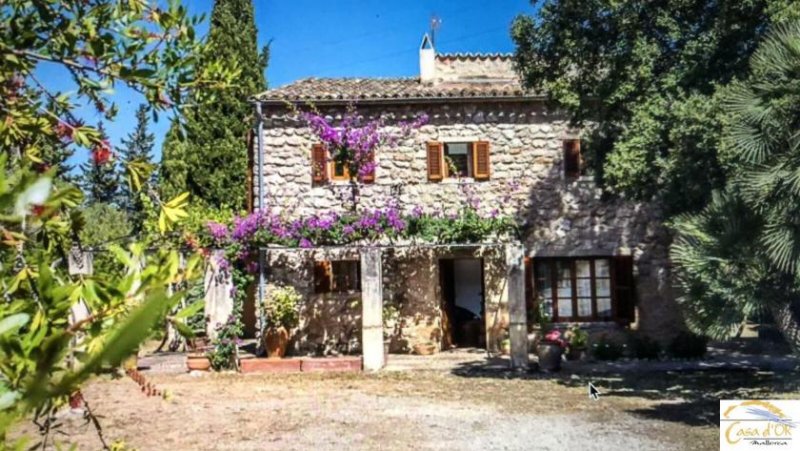 Großenstein Authentische Finca mit mediterranem Charme und altem Baumbestand bei Capdepera Haus kaufen