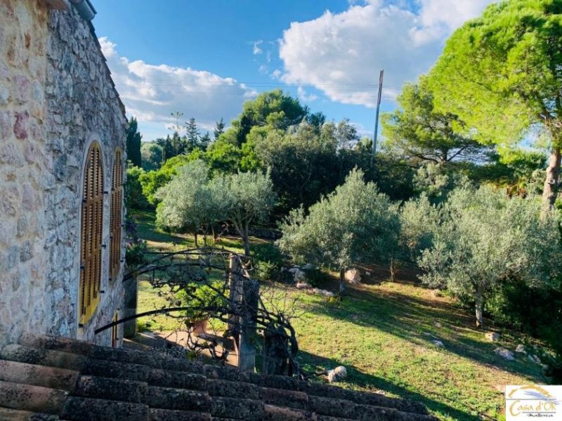 Großenstein Authentische Finca mit mediterranem Charme und altem Baumbestand bei Capdepera Haus kaufen