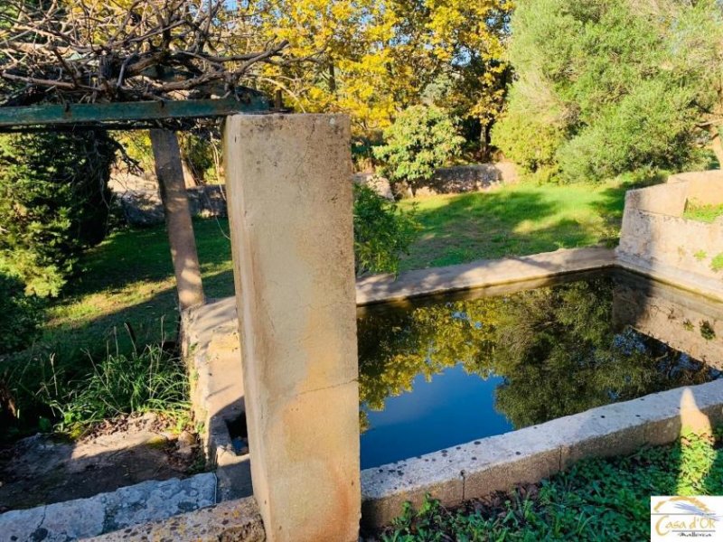 Großenstein Authentische Finca mit mediterranem Charme und altem Baumbestand bei Capdepera Haus kaufen