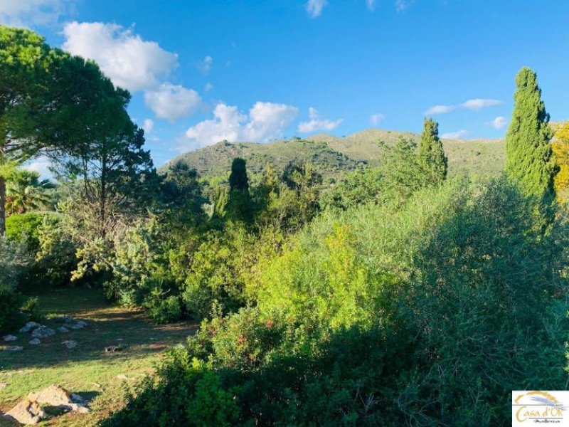 Großenstein Authentische Finca mit mediterranem Charme und altem Baumbestand bei Capdepera Haus kaufen