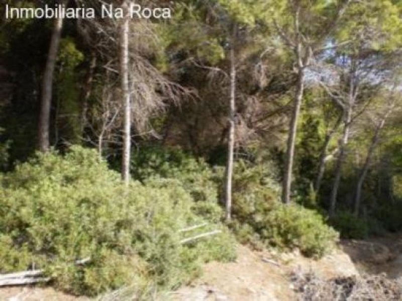 Cala Ratjada Baugrundstück mit Meerblick von der 1. Etage." Grundstück kaufen