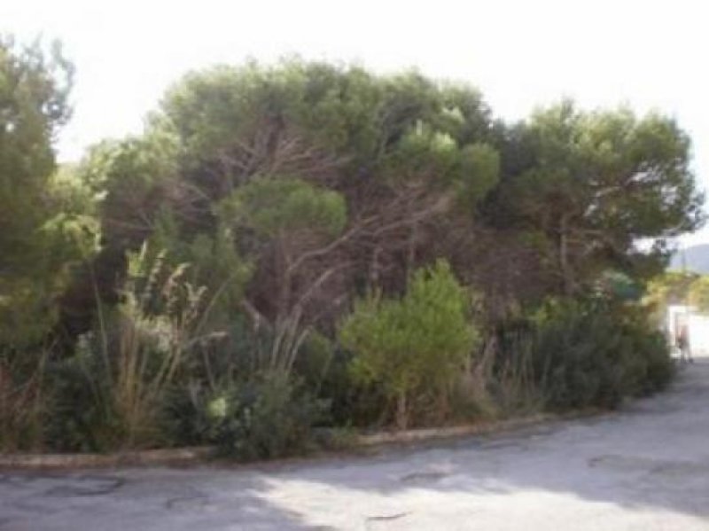 Cala Ratjada Baugrundstück mit Meerblick von der 1. Etage." Grundstück kaufen