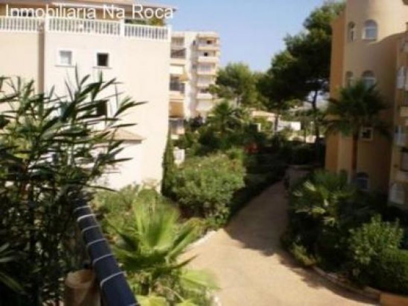 Cala Ratjada Koffer packen, einziehen und genießen! Wohnung kaufen