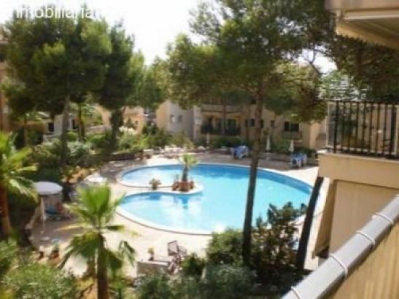 Cala Ratjada Koffer packen, einziehen und genießen! Wohnung kaufen