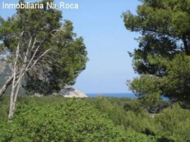 Cala Ratjada Wunderbare Finca in herrlicher Natur und gepflegtem Ambiente Haus kaufen