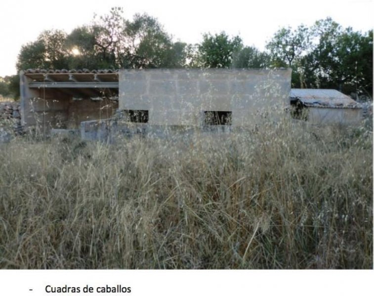 Llucmajor LLucmajor Vielfältiges Landgut mit mehreren Finca Rustica ideal fuer Agroturismo, Pferdefarm ect Grundstück kaufen