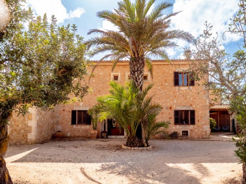 Campos Finca mit alter Mühle und 3 separaten Wohneinheiten 5 Minuten vom Strand Haus kaufen