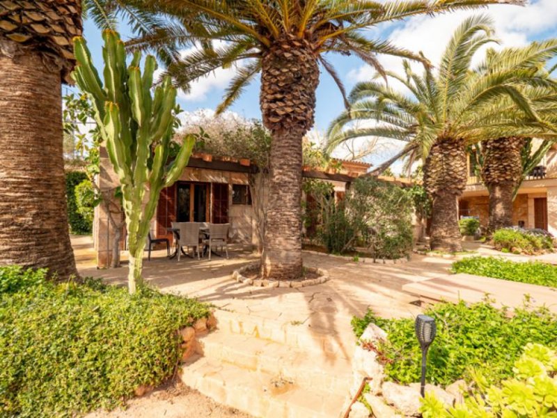 Campos Finca mit alter Mühle und 3 separaten Wohneinheiten 5 Minuten vom Strand Haus kaufen