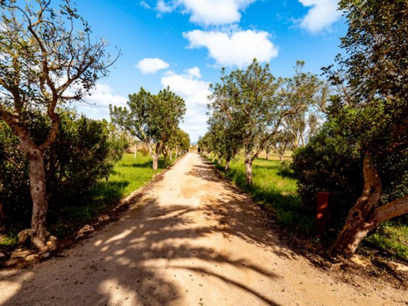 Campos Finca mit alter Mühle und 3 separaten Wohneinheiten 5 Minuten vom Strand Haus kaufen
