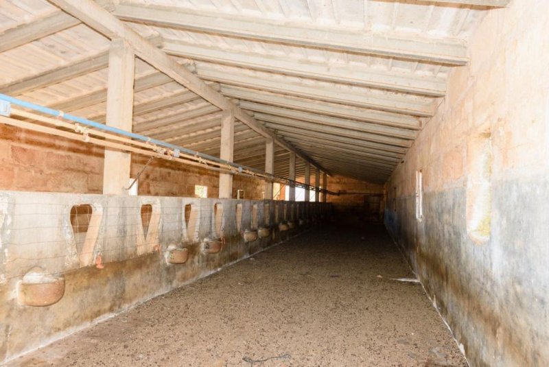 Campos Großes Anwesen nahe des Traumstrandes Es Trenc (Pferdehaltung möglich) Grundstück kaufen