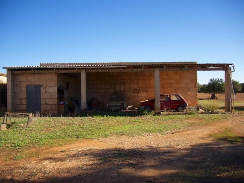 Campos Großes Anwesen nahe des Traumstrandes Es Trenc (Pferdehaltung möglich) Grundstück kaufen