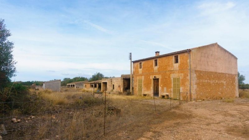 Campos Großes Anwesen nahe des Traumstrandes Es Trenc (Pferdehaltung möglich) Grundstück kaufen