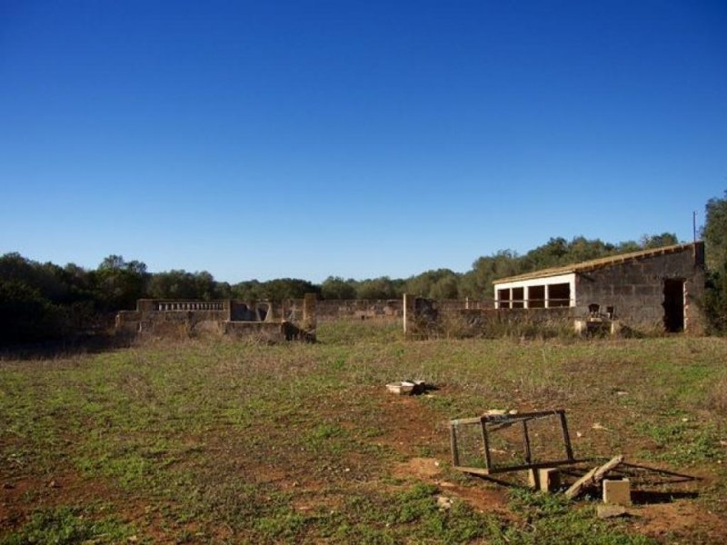 Campos Großes Anwesen nahe des Traumstrandes Es Trenc (Pferdehaltung möglich) Grundstück kaufen