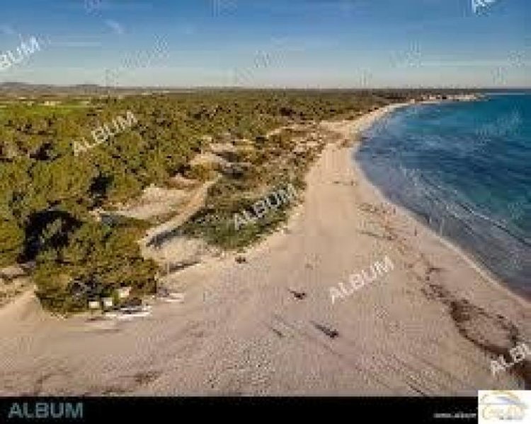 Sa Rapita Mediterrane Luxus-Neubaufinca mit Salzwasserpool und absoluter Privatsphäre nahe Es Trenc Haus kaufen