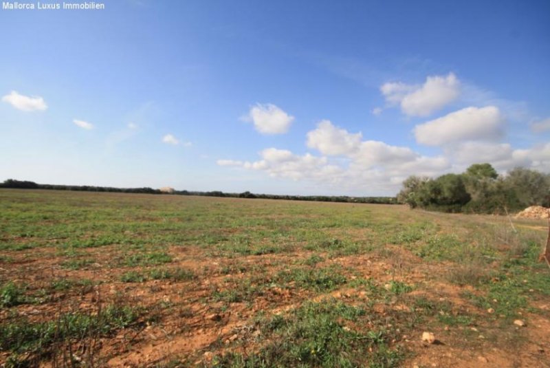 Bad Klosterlausnitz Einzigartiges Grundstück nahe Es Trenc zu verkaufen Ideal für ein Golfprojekt, Agroturismp oder Hotel Rural Grundstück