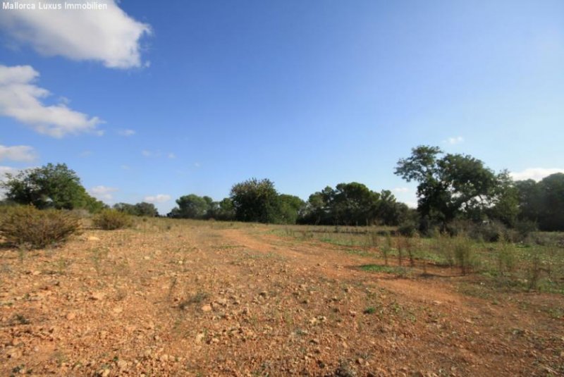Bad Klosterlausnitz Einzigartiges Grundstück nahe Es Trenc zu verkaufen Ideal für ein Golfprojekt, Agroturismp oder Hotel Rural Grundstück