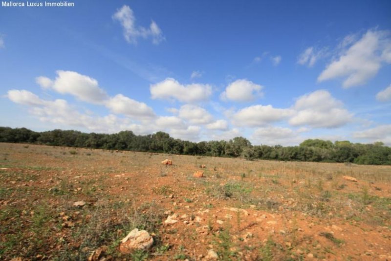 Bad Klosterlausnitz Einzigartiges Grundstück nahe Es Trenc zu verkaufen Ideal für ein Golfprojekt, Agroturismp oder Hotel Rural Grundstück