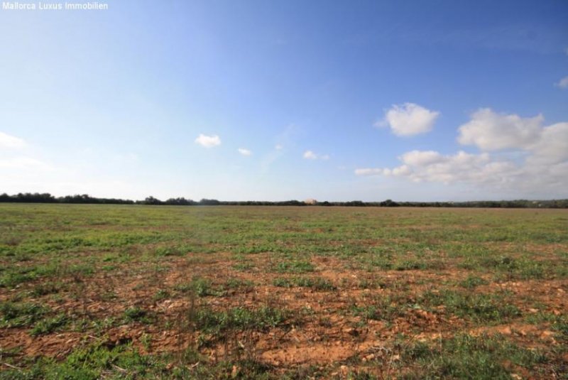 Bad Klosterlausnitz Einzigartiges Grundstück nahe Es Trenc zu verkaufen Ideal für ein Golfprojekt, Agroturismp oder Hotel Rural Grundstück