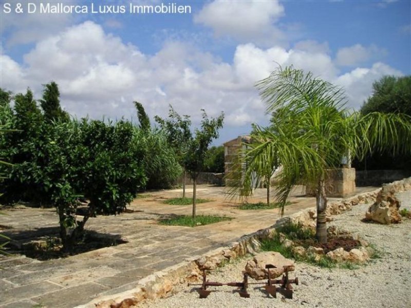 Ses Salines Stilvolle Finca mit Pool in Ses Salines mit touristischer Lizenz Haus kaufen