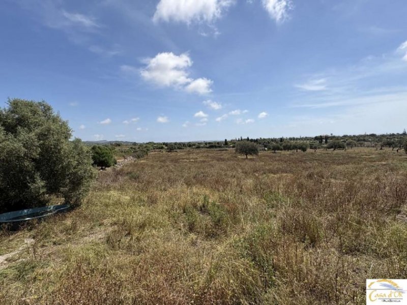 Porto Cristo Finca mit Altgenehmigung - modernes Neubauprojekt zwischen Manacor & Porto Cristo Haus kaufen
