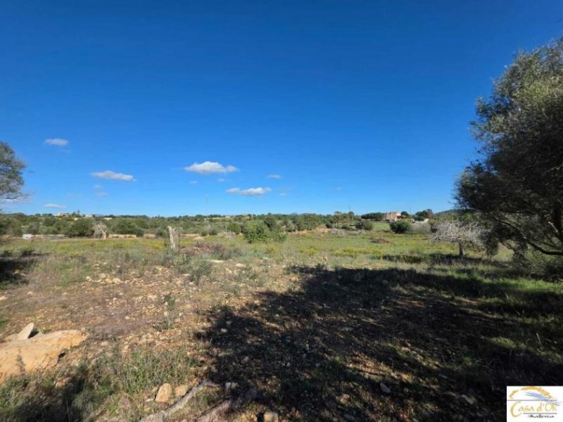 Porto Cristo Wunderschönes Baugrundstück mit Panoramablick und innovativem Finca-Projekt bei Porto Cristo Grundstück kaufen