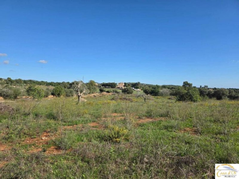 Porto Cristo Wunderschönes Baugrundstück mit Panoramablick und innovativem Finca-Projekt bei Porto Cristo Grundstück kaufen