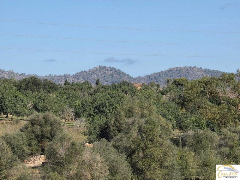 Porto Cristo Wunderschönes Baugrundstück mit Panoramablick und innovativem Finca-Projekt bei Porto Cristo Grundstück kaufen