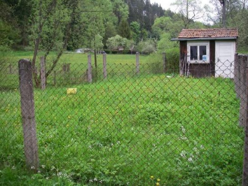 Crispendorf Einfamilienwohnhaus mit Anbau in 07924 Ziegenrück Demnächst in Auktion Haus kaufen