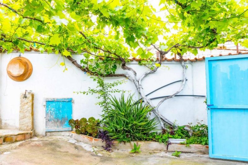 Gergei Historisches charmantes Haus in Gergei Haus kaufen