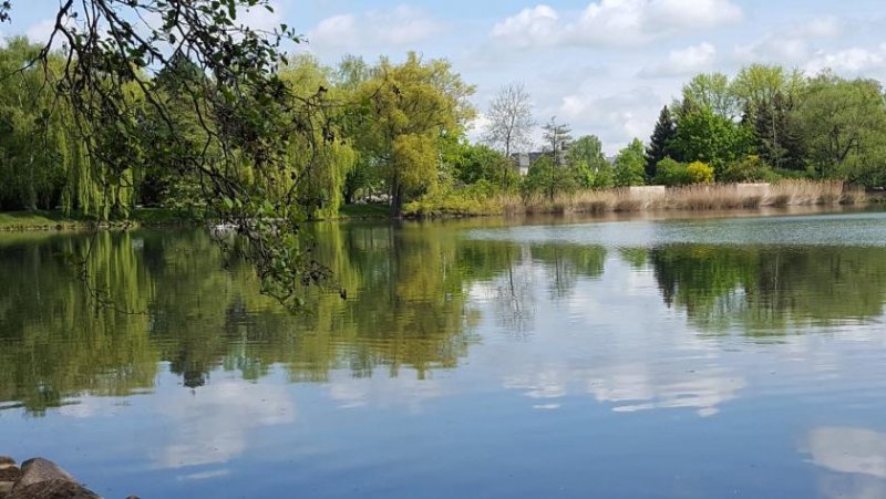 Zwickau 49800Vermietete Büroeinheit mit Lager in Zwickau! Zentrumsnah! Gewerbe kaufen