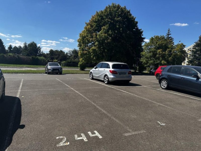 Zwickau Helle 3-Raumwhg. mit Loggia und EBK in Zwickau-Mosel! Wohnung kaufen