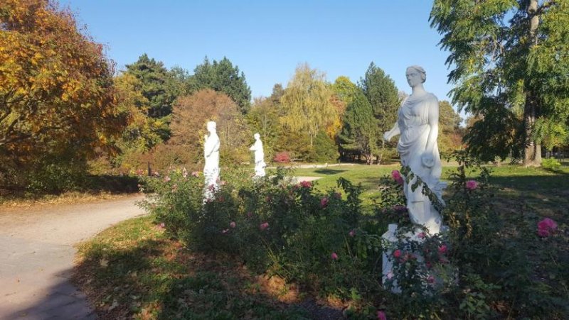 Zwickau Voll vermietetes Mehrfamilienhaus mit 4 WE´s, gepflegtem Garten und Stellplätzen in Zwickau! Haus kaufen