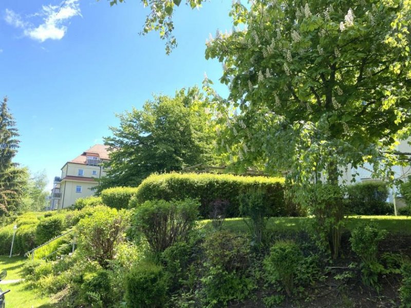 Zwickau Vermietete 2-Raum DG-Wohnung mit Balkon und Stellplatz in Marienthal! Wohnung kaufen