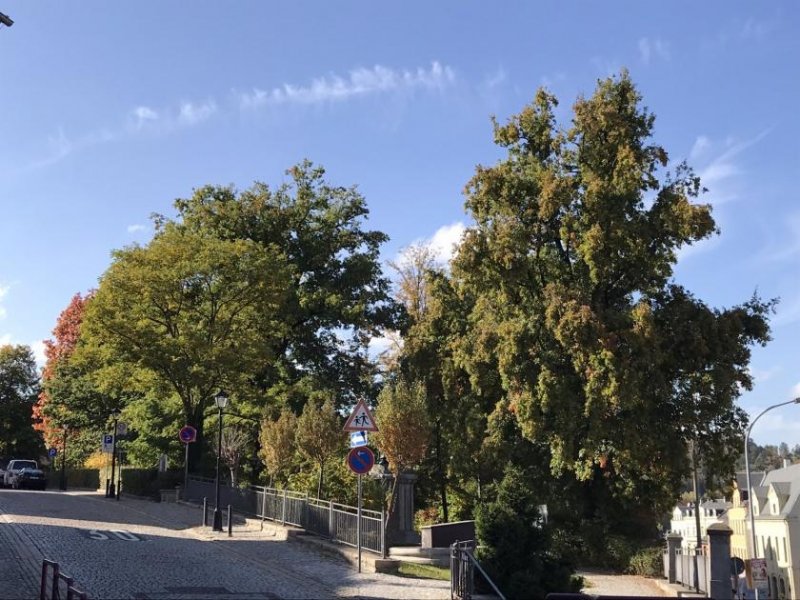 Kirchberg Ab 01.12.2025 frei! Schöne 2-Raum-Wohnung mit Balkon! Denkmalschutz! Wohnung kaufen