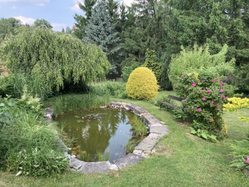 Wildenfels Vermietetes Einfamilienhaus mit Carport, Garage und Garten in ruhiger Randlage! Haus kaufen